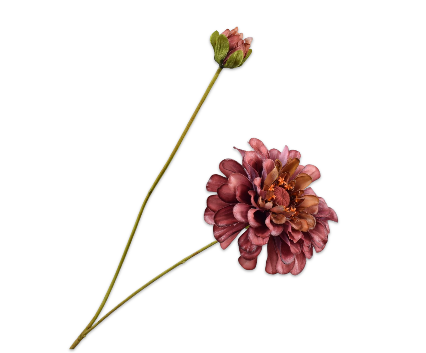 ZINNIA SPRAY MVE/GRN RT  62 CM