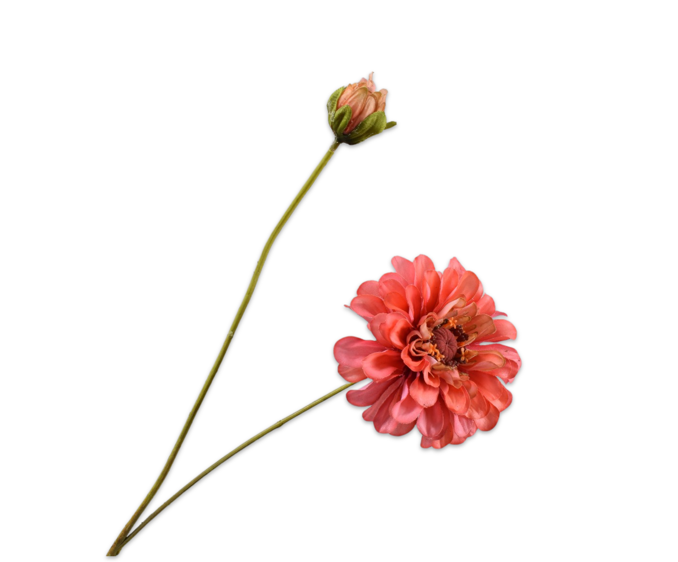 ZINNIA SPRAY PINK DK RT  62 CM