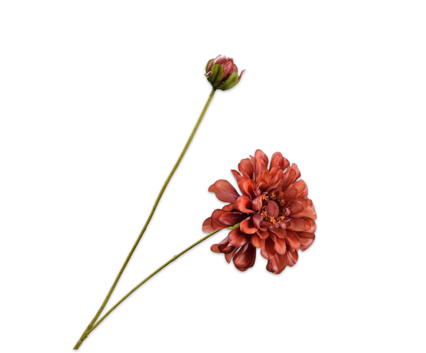 ZINNIA SPRAY BROWN RT  62 CM