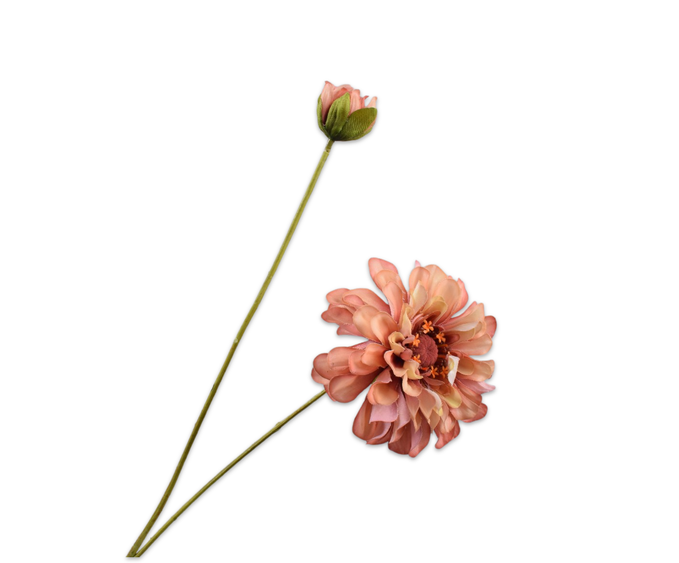 ZINNIA SPRAY CR/PUR RT  62 CM