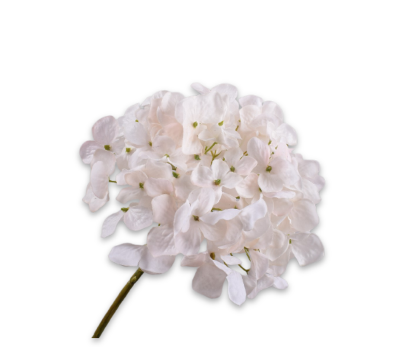 HYDRANGEA STEM CREAM RT  63 CM