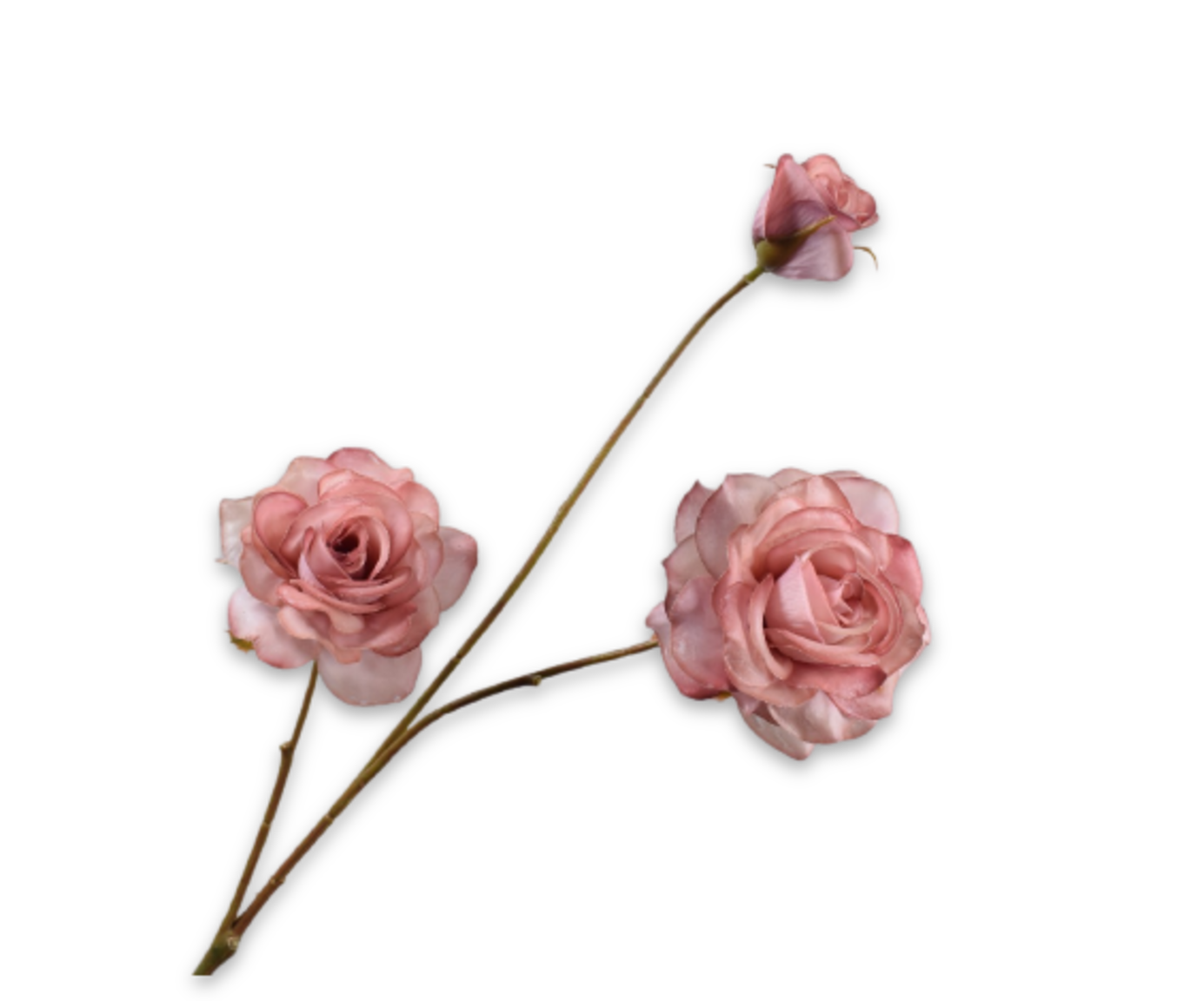 ROOS TAK MAUVE RT 67 cm