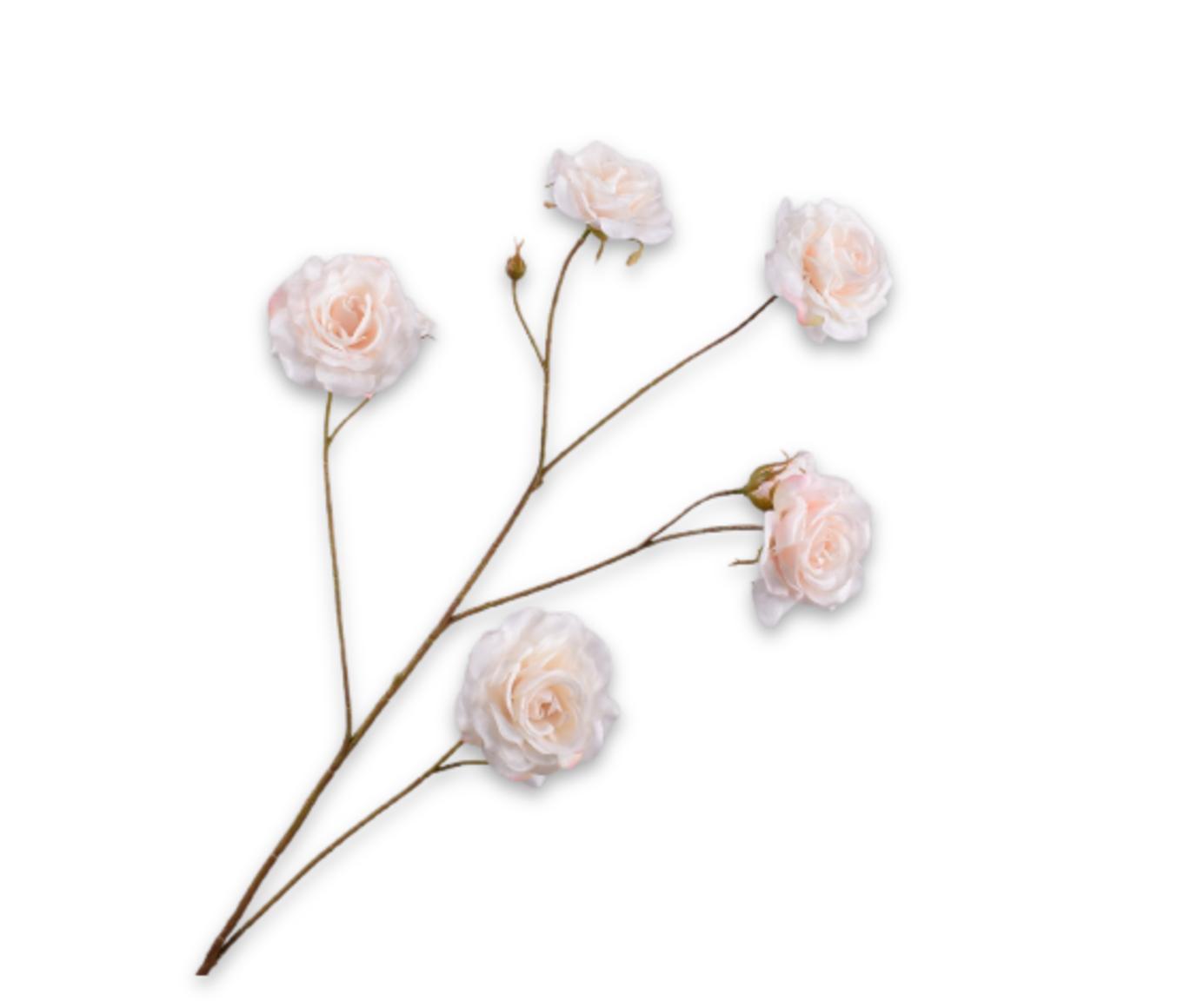 ROOS TAK CREME RT 93 cm