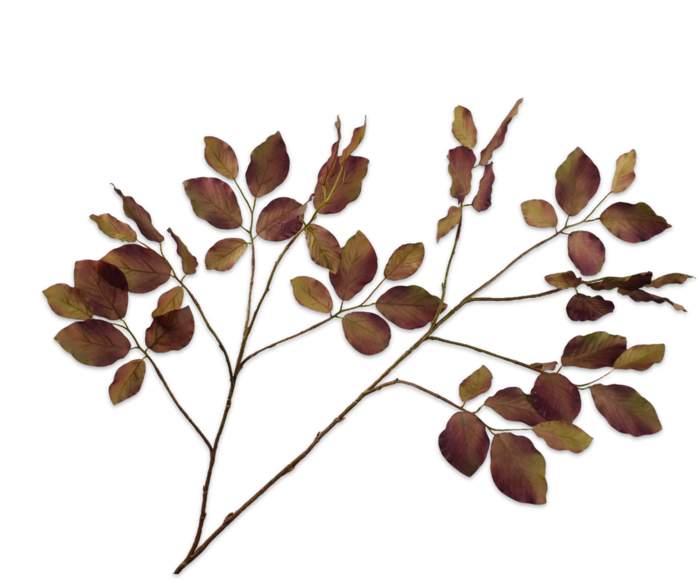 BLADTAK  GRN/BRN  116 cm