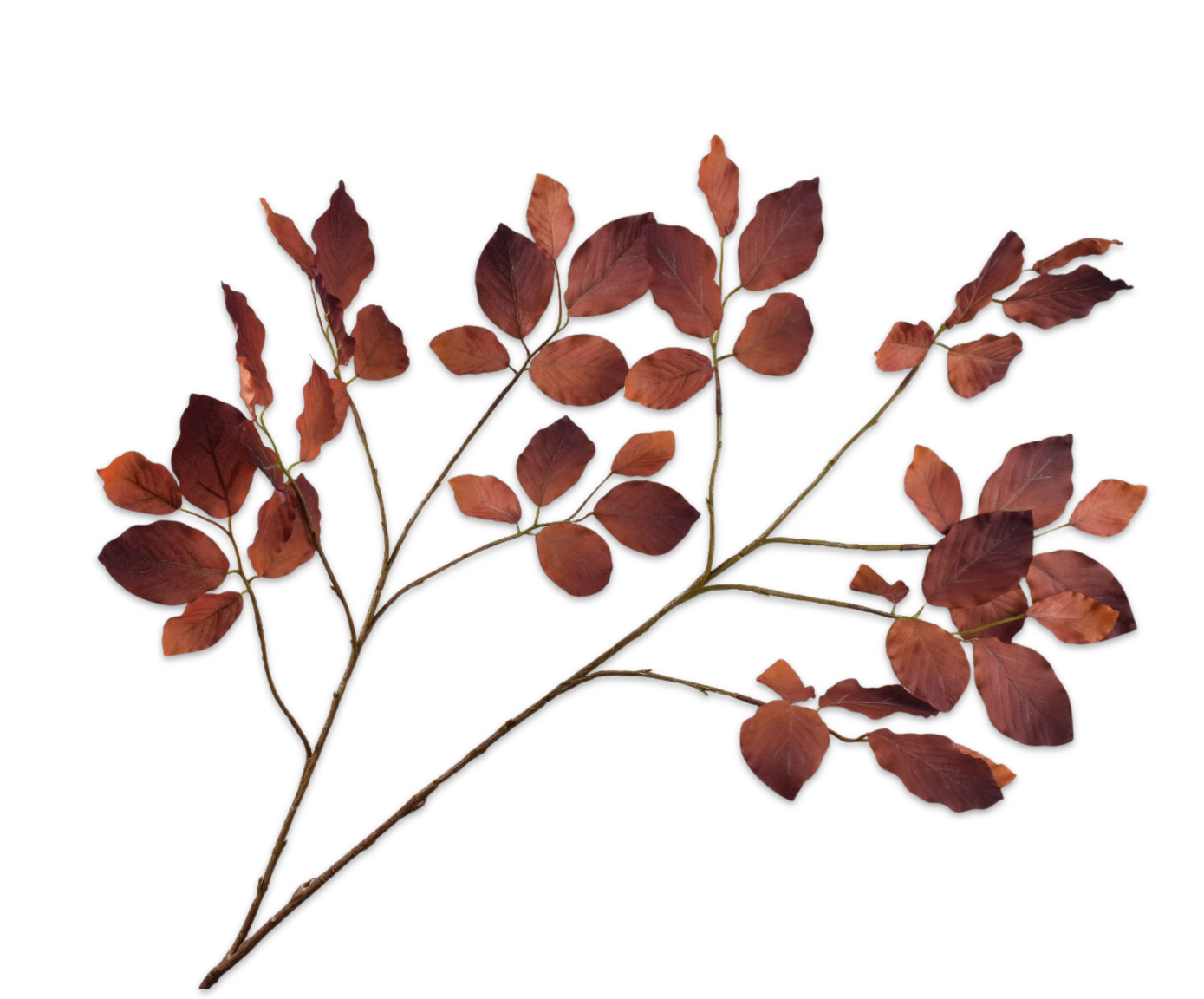 BLADTAK  BRUIN  116 cm