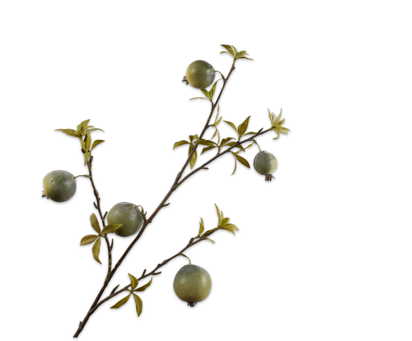 GRANAATAPPEL TAK GROEN  97 cm