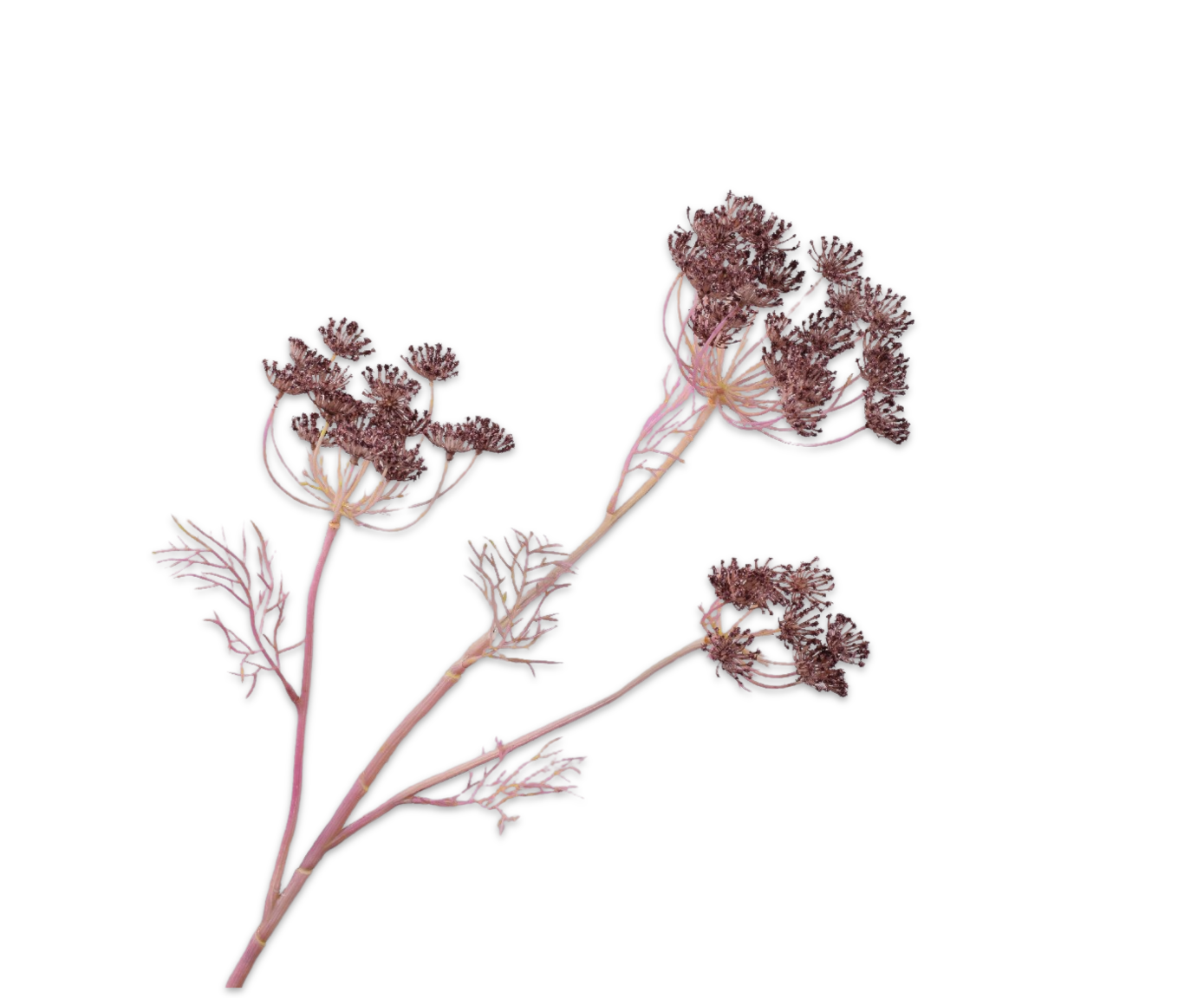 ENELDO RAMA VIOLETA  82 CM