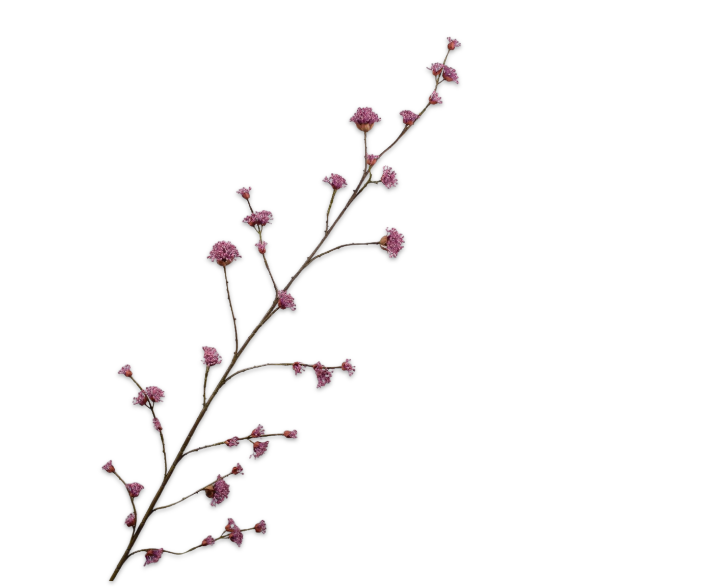 DOGWOOD TAK PRS/ROZ  150 cm