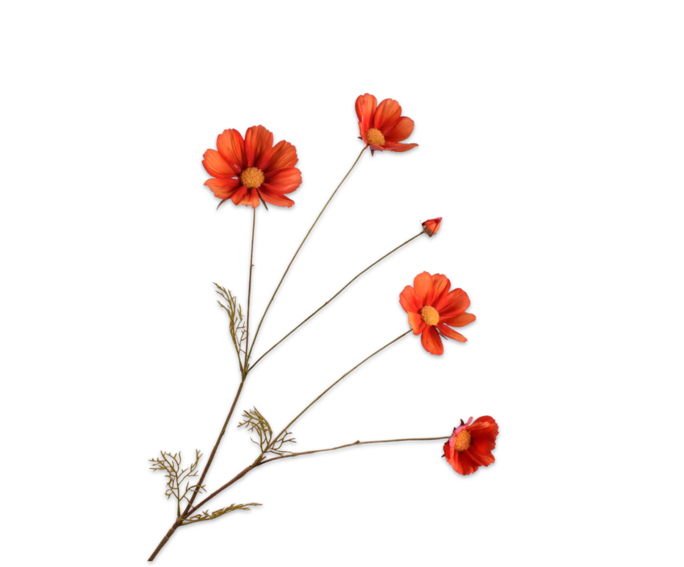 COSMOS TAK ORANJE  92 cm