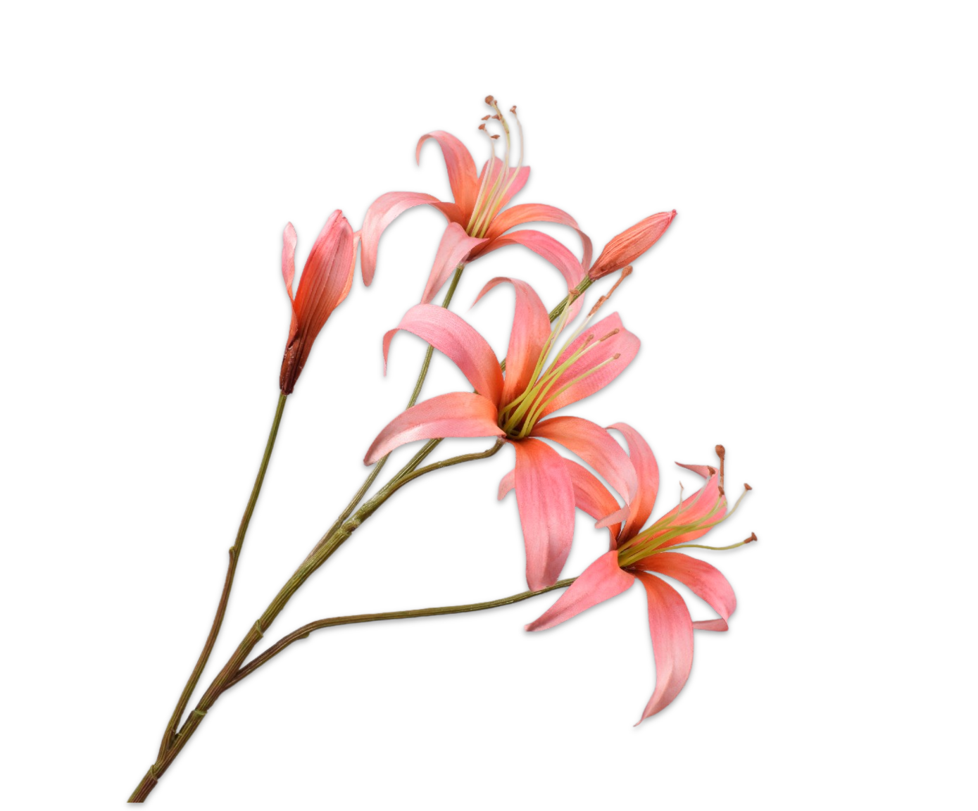 LELIE TAK ZALM  80 cm