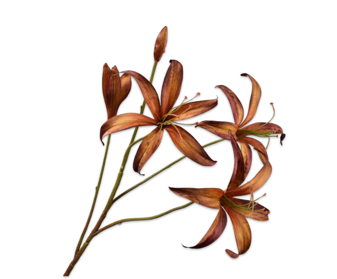 LELIE TAK BRN/GRN  80 cm