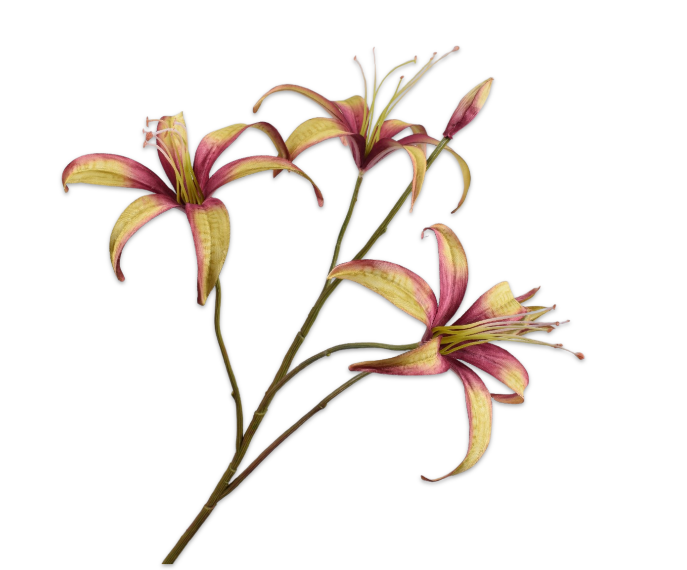 LELIE TAK PRS/GR  80 cm