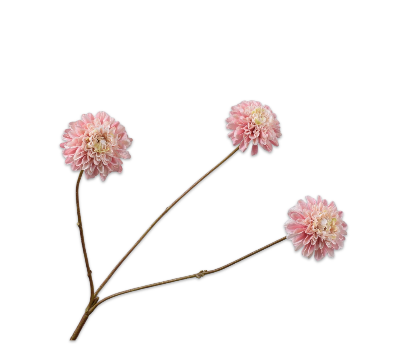 DAHLIE ZWEIG ROS/CR  65 CM