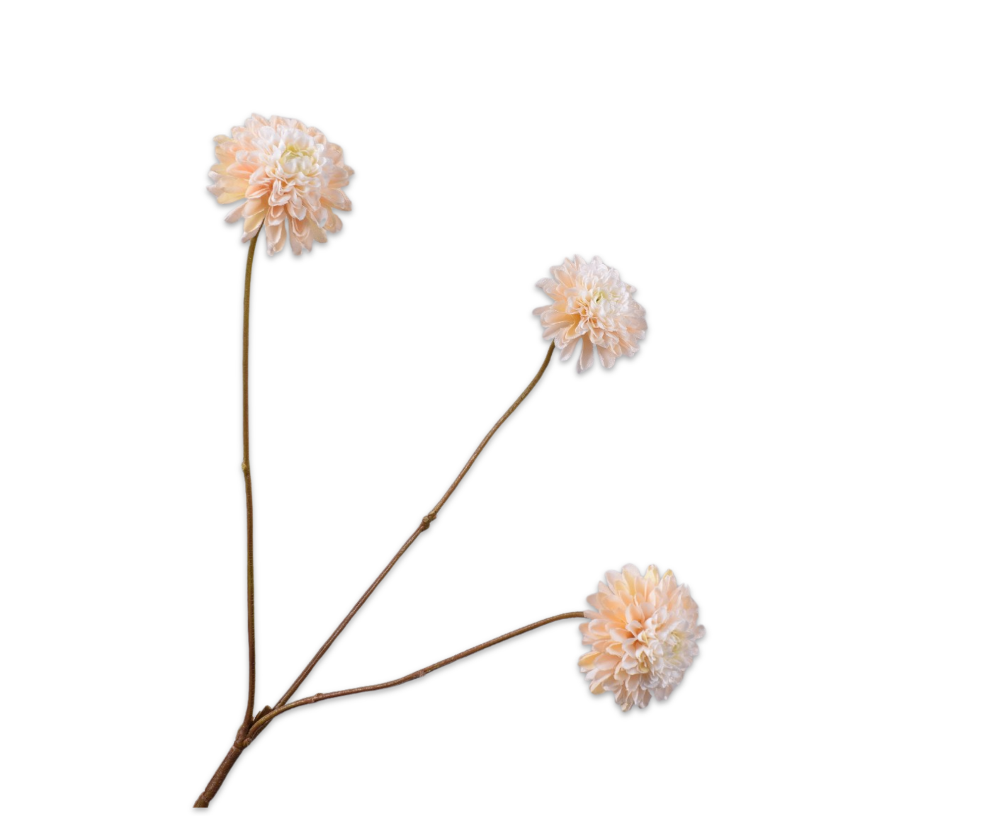 DAHLIE ZWEIG CREME  65 CM