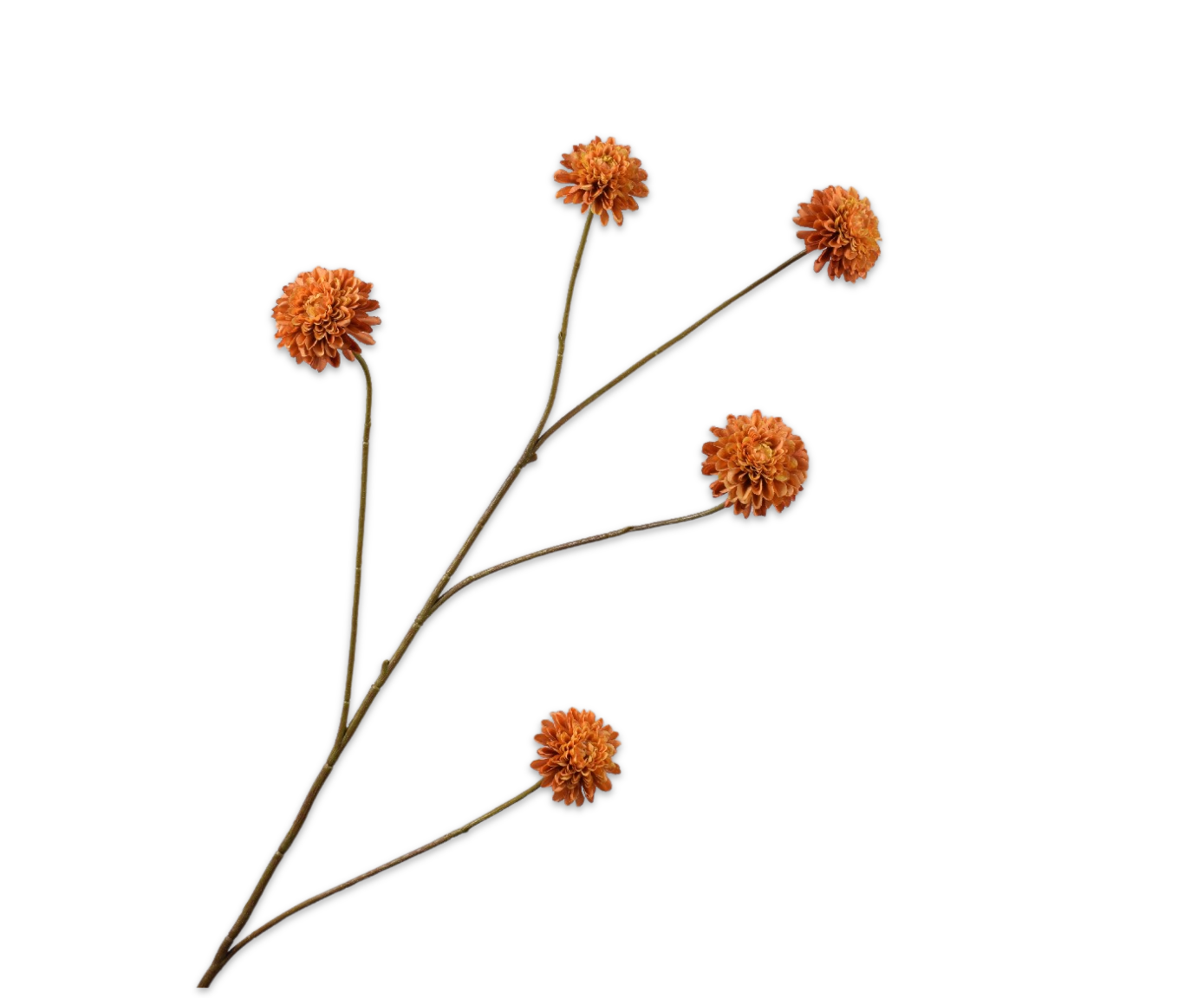 DAHLIA TAK ORANJE  90 cm