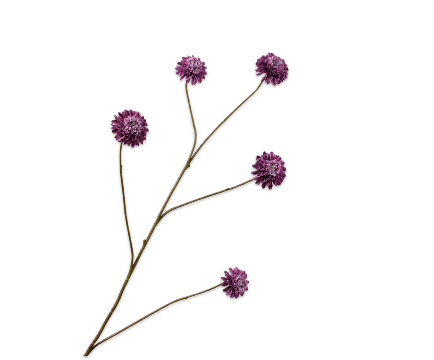 DAHLIA TAK LAVEND  90 cm