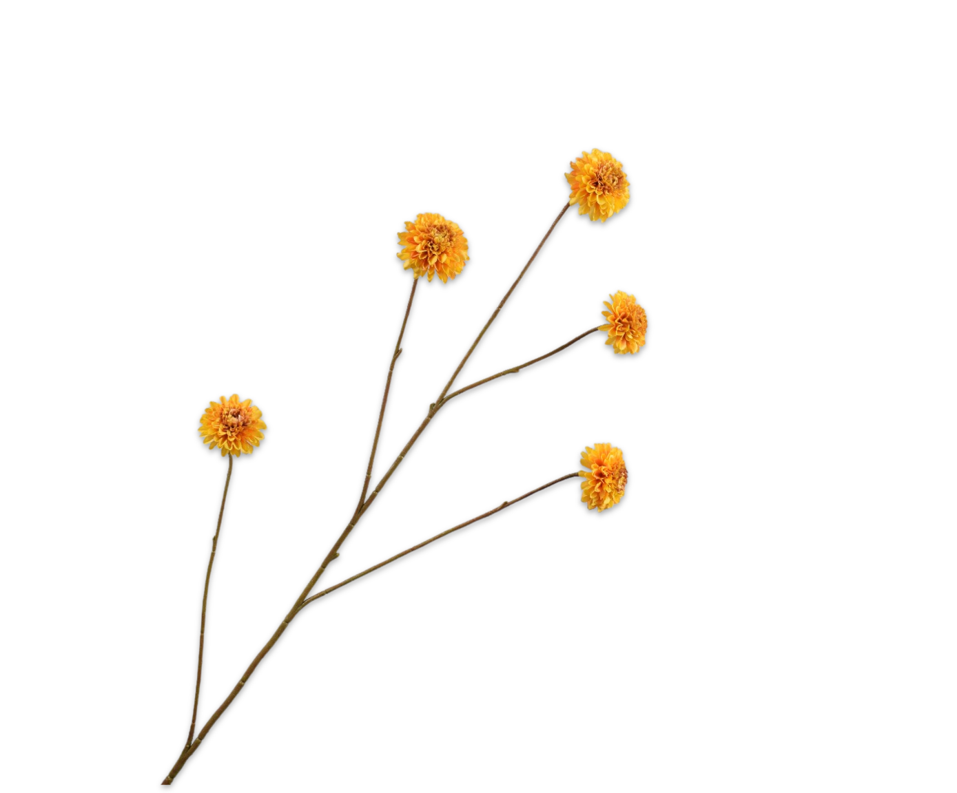 DAHLIA TAK GEEL  90 cm