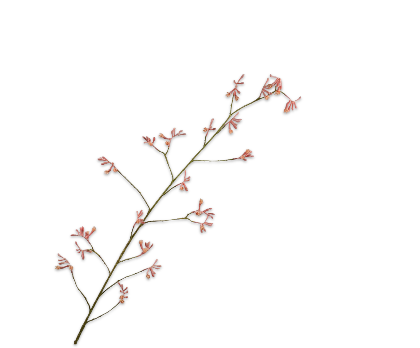 KANGAROEPOOTJE TAK ROOD  162 cm