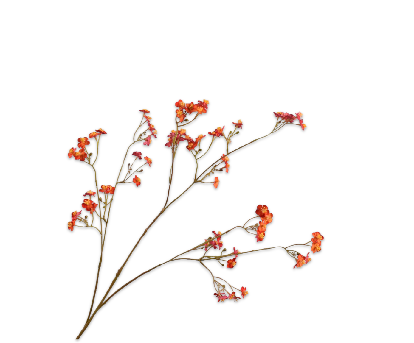 VERGEETMENIET TAK RD/ORA  76 cm