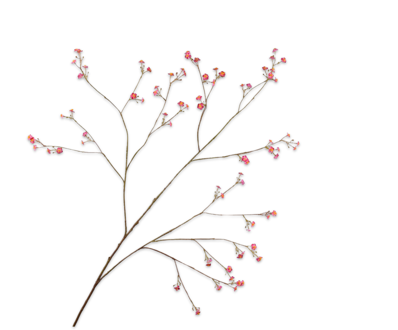 VERGEETMENIET TAK BEAUTY  132 cm