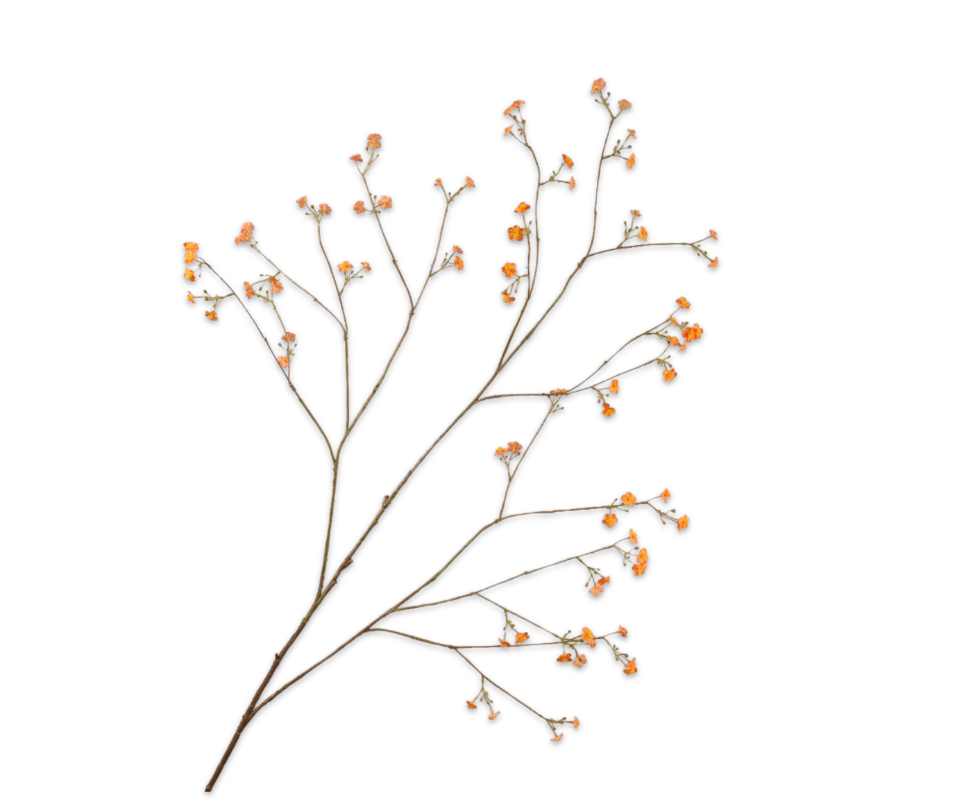 VERGEETMENIET TAK ORANJE  132 cm