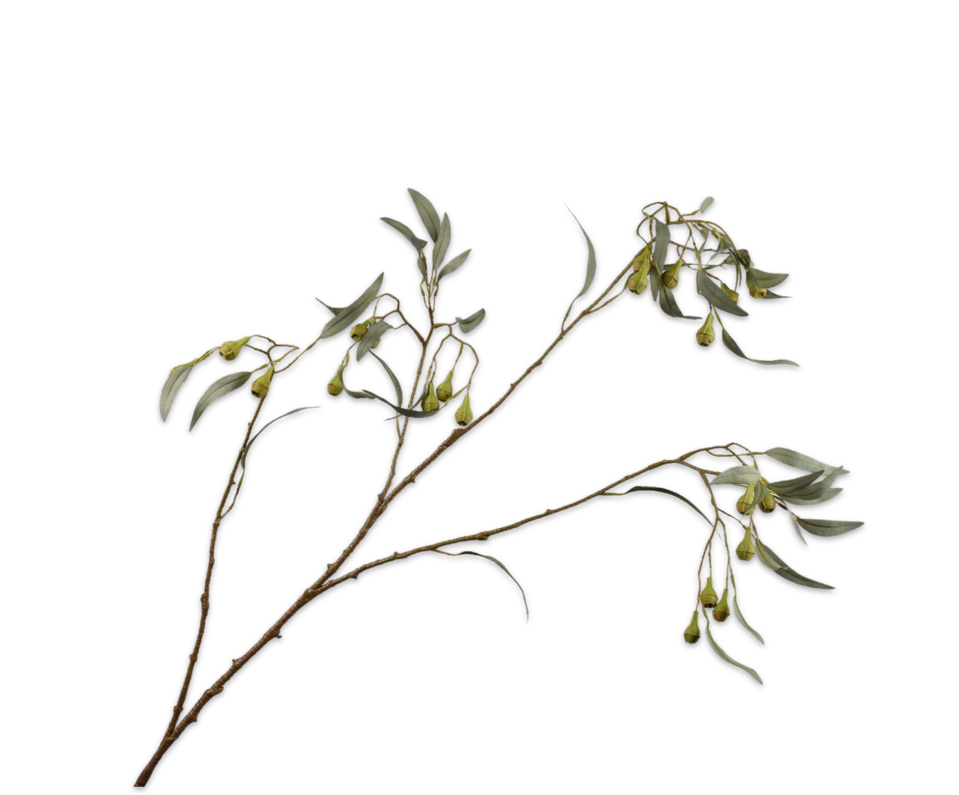 EUCALYPTUS TAK GRN/GRS  127 cm