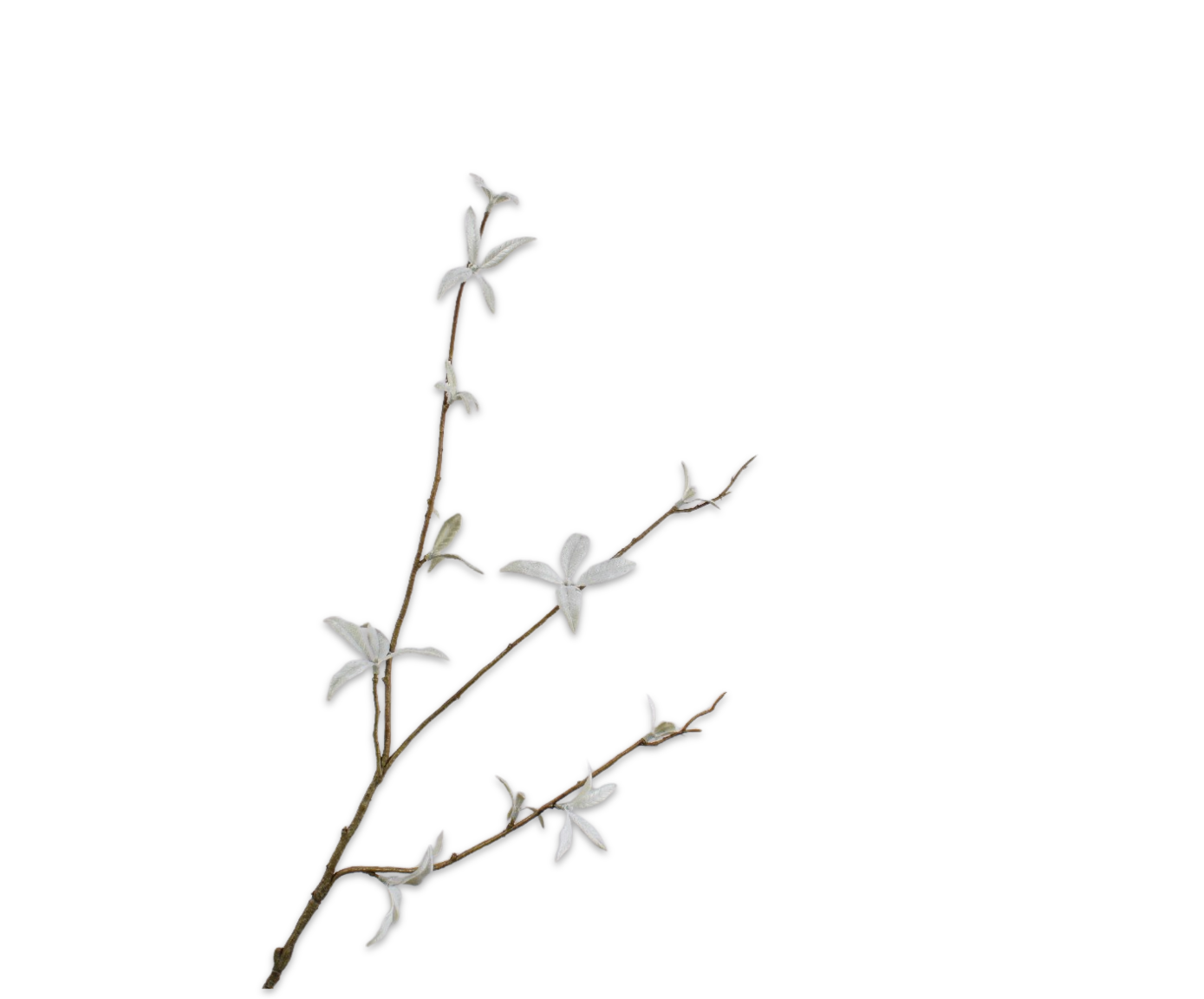 BLADTAK  GRN/GRS  82 cm