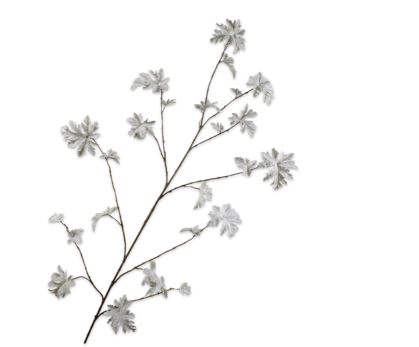 BLADTAK  GRN/GRS  164 cm