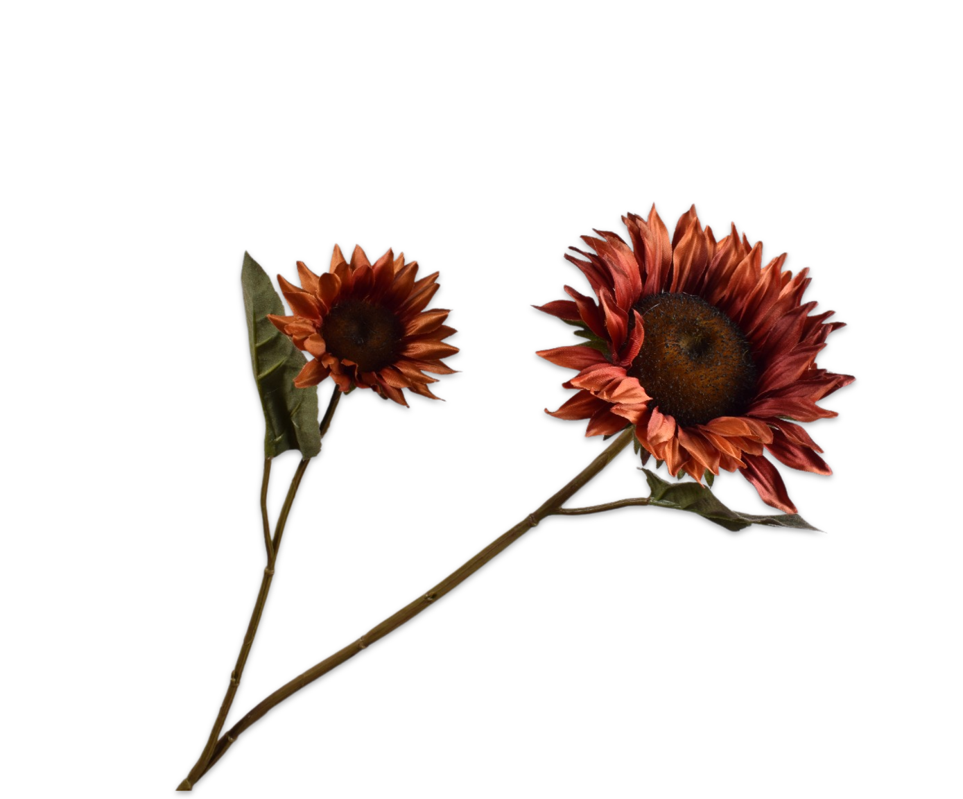 ZONNEBLOEM TAK BRN DK  75 cm