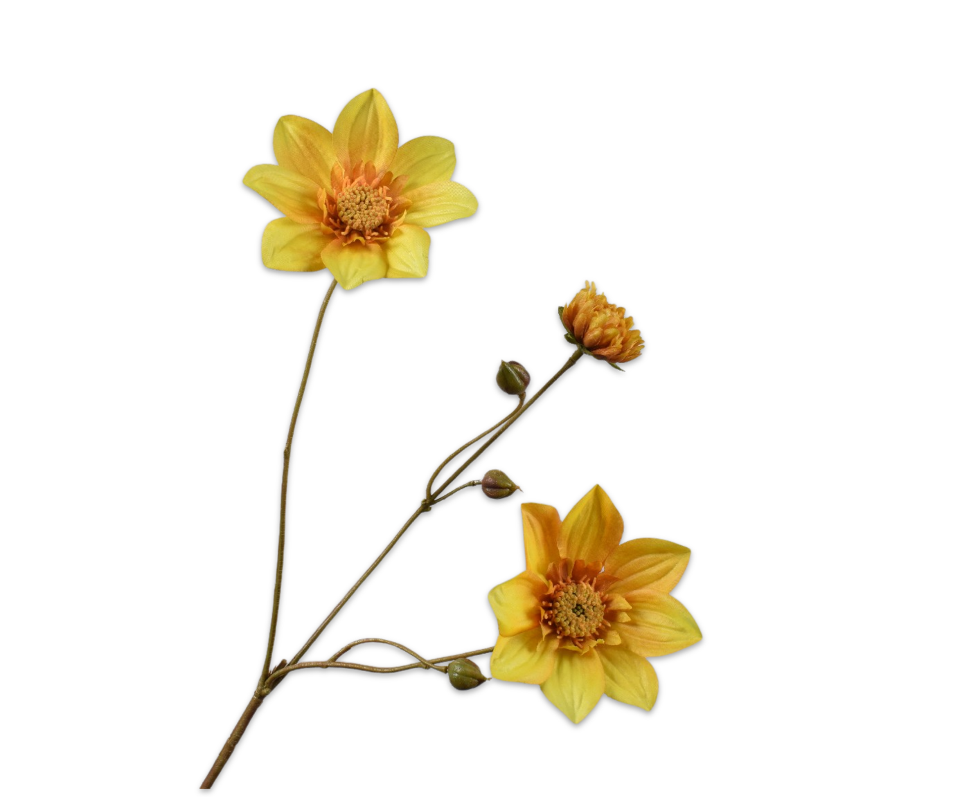 DAHLIA RAMIFIÉE JA/VER  65 CM