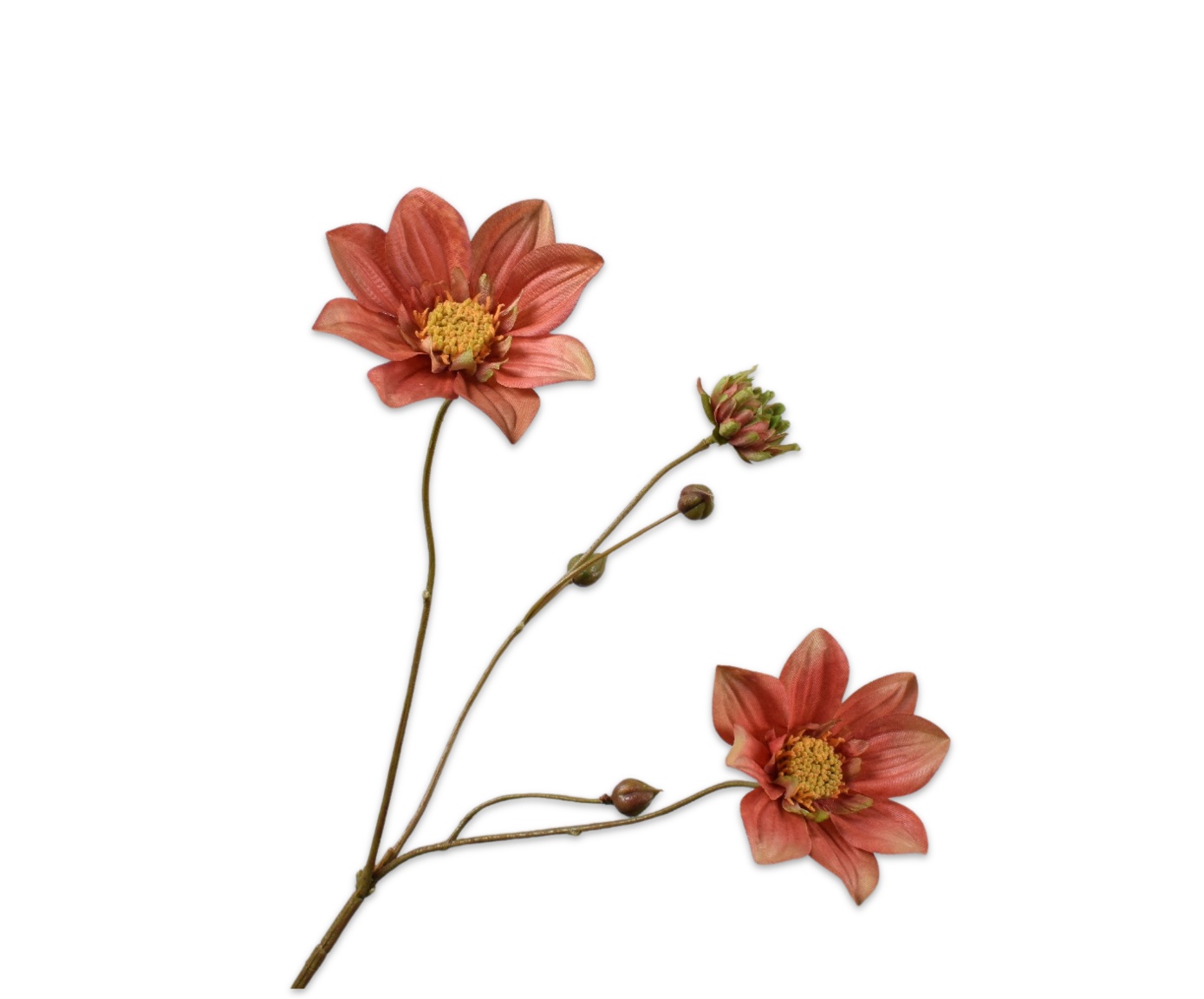 DAHLIA RAMIFIÉE BRN/VER  65 CM