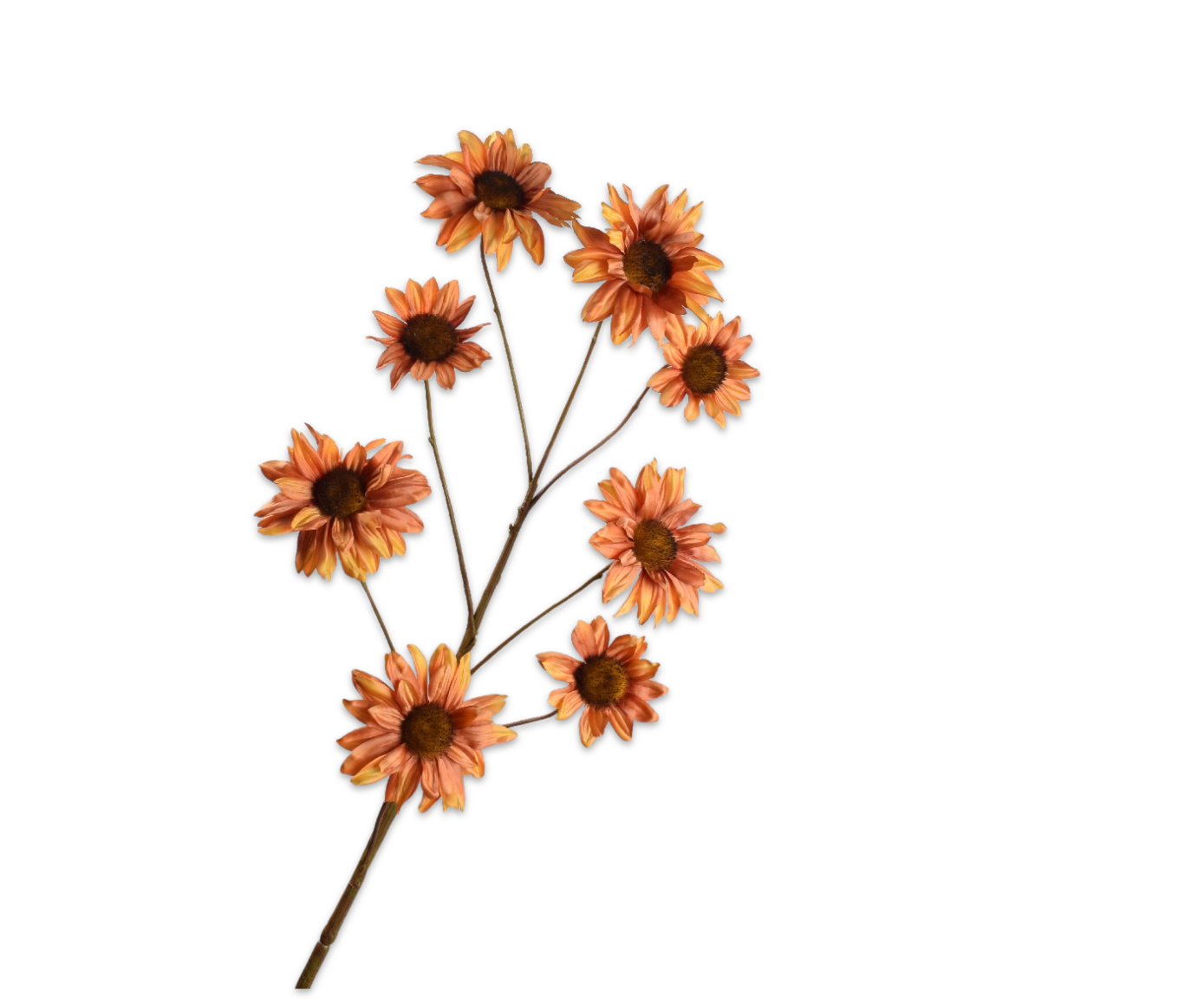 ZONNEBLOEM TAK ORANJE  123 cm