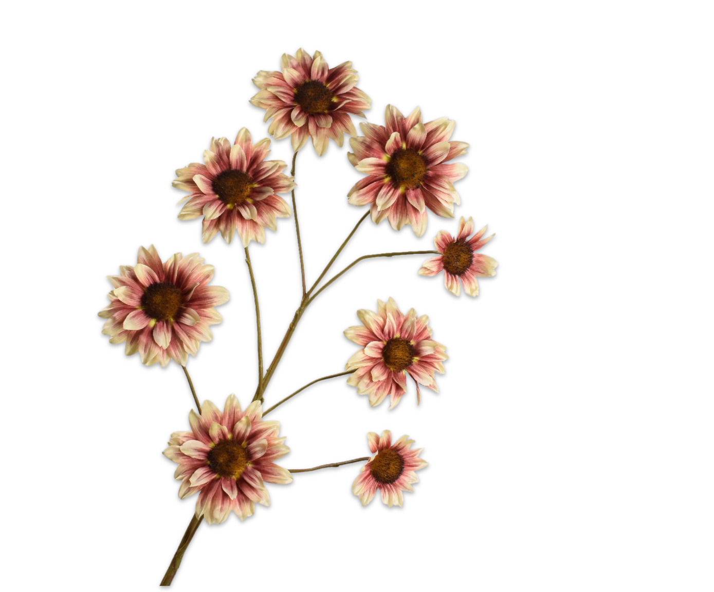 ZONNEBLOEM TAK CR/RD  123 cm