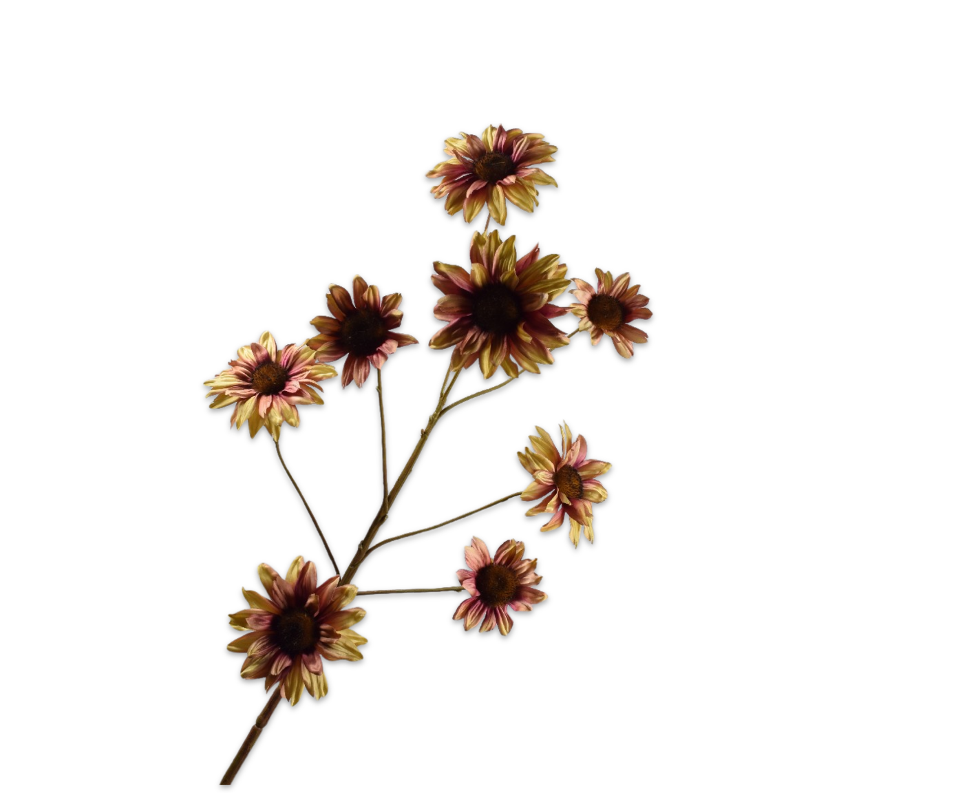 ZONNEBLOEM TAK MAUVE  123 cm