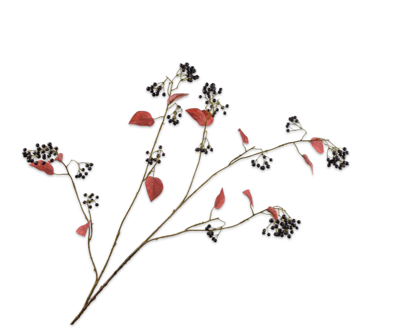 BESSENTAK  BORDEAUX  128 cm