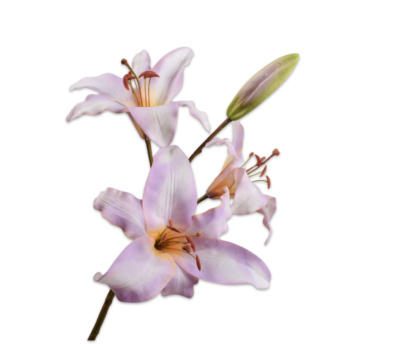 LELIE TAK ROZE  108 cm