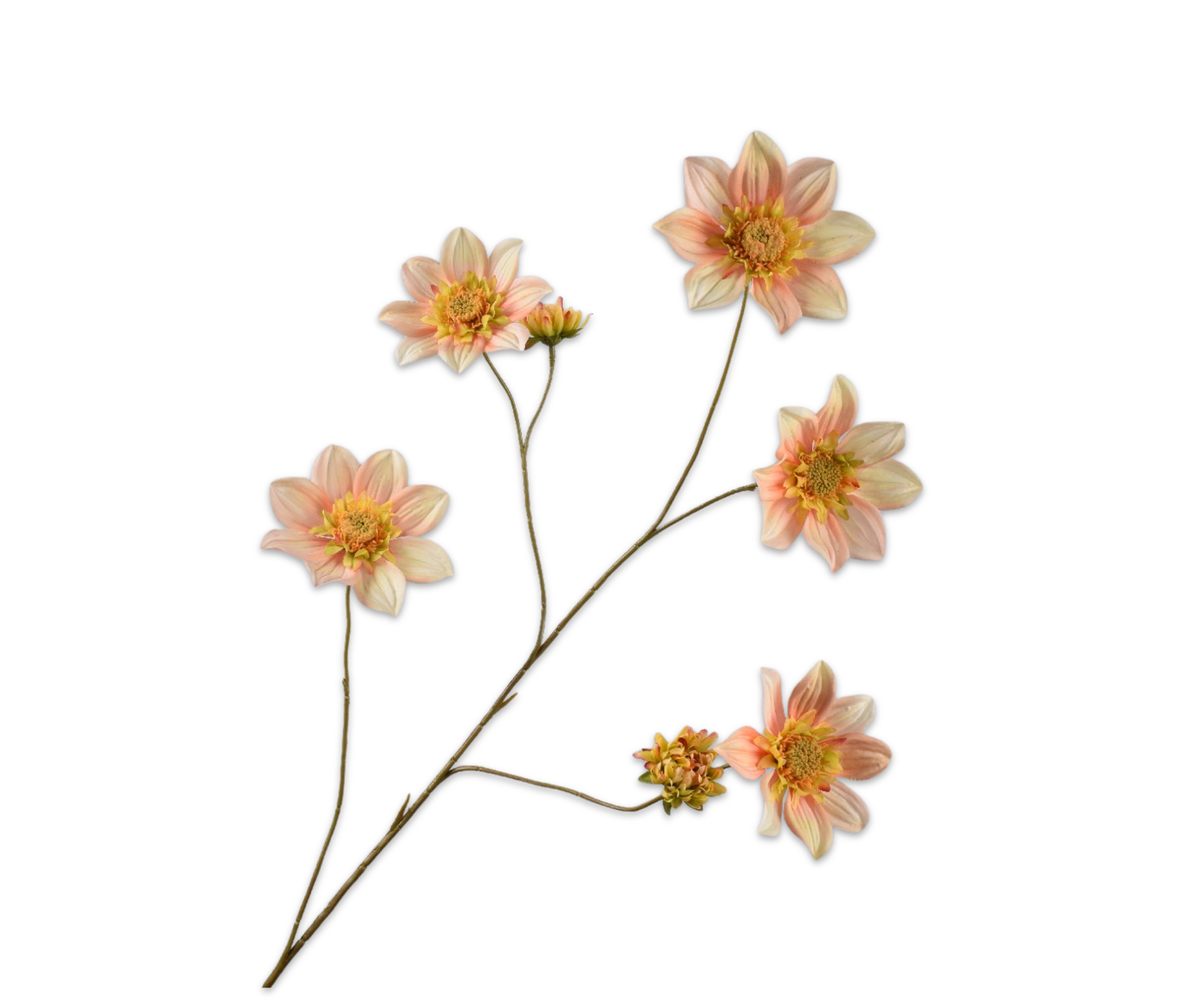 DAHLIA TAK MAUVE  107 cm