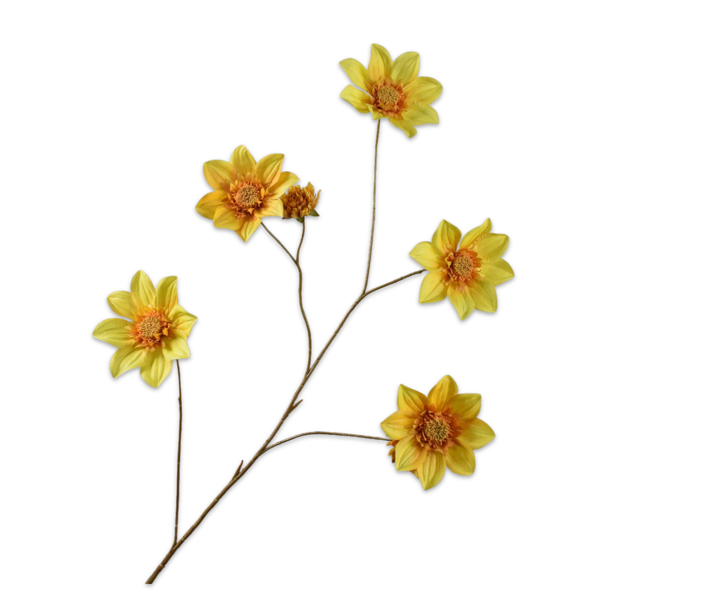 DAHLIA TAK GL/GRN  107 cm