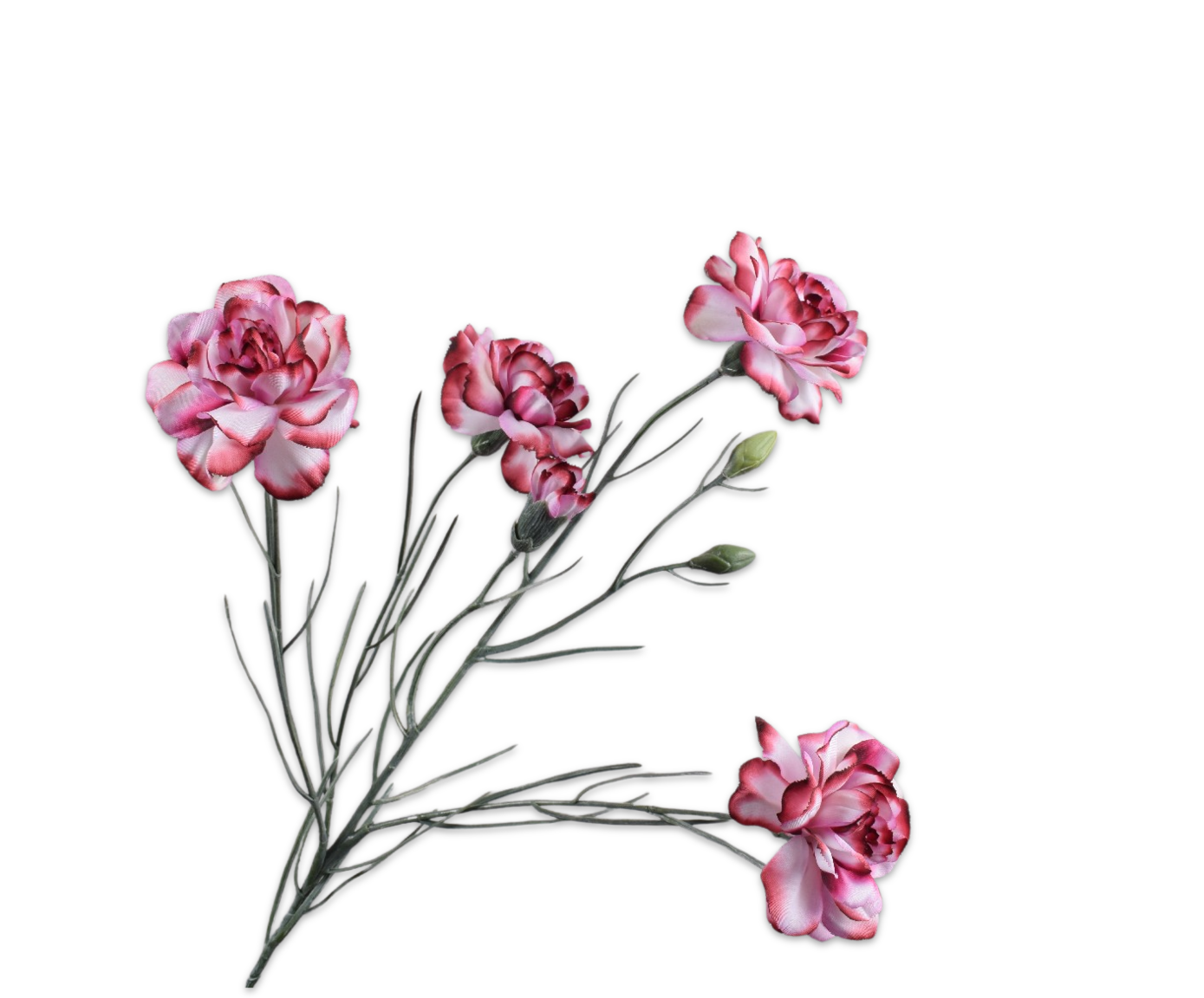 ŒILLET RAMIFIÉE BOR/BLA  68 CM