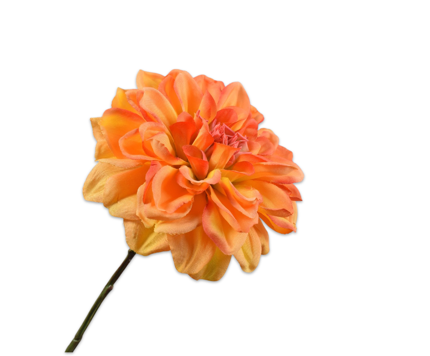 DAHLIA TAK GL/OR  68 cm