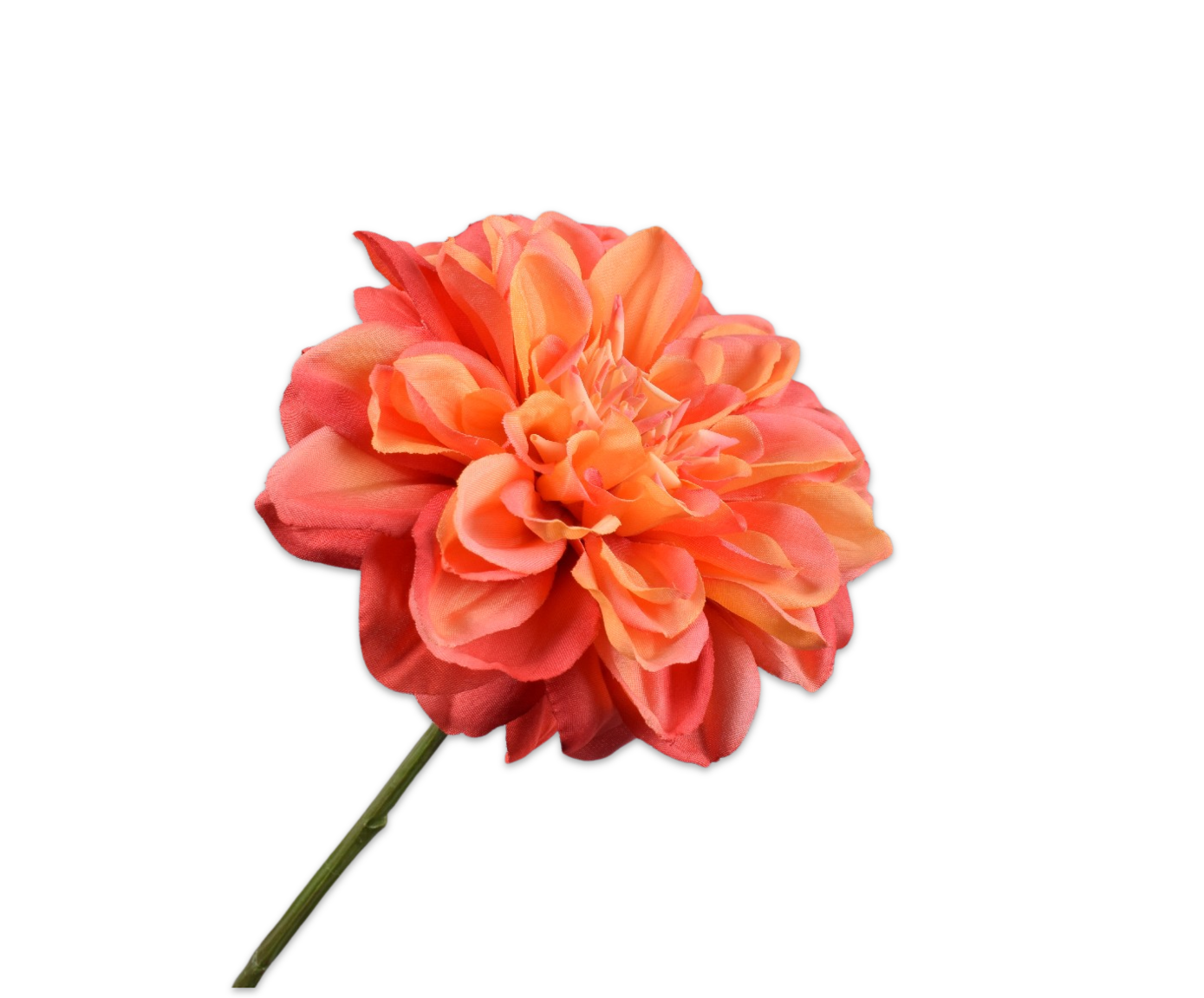 DAHLIA TAK FLAME  68 cm