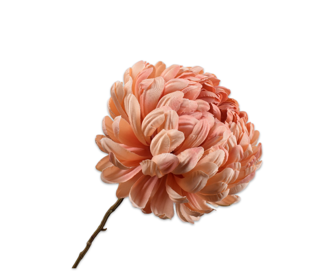 CHRYSANT TAK ZALM  76 cm