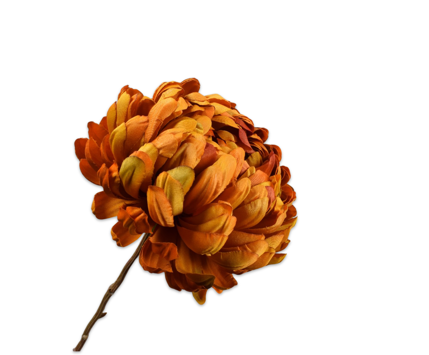 CHRYSANT TAK ORA/GD  76 cm