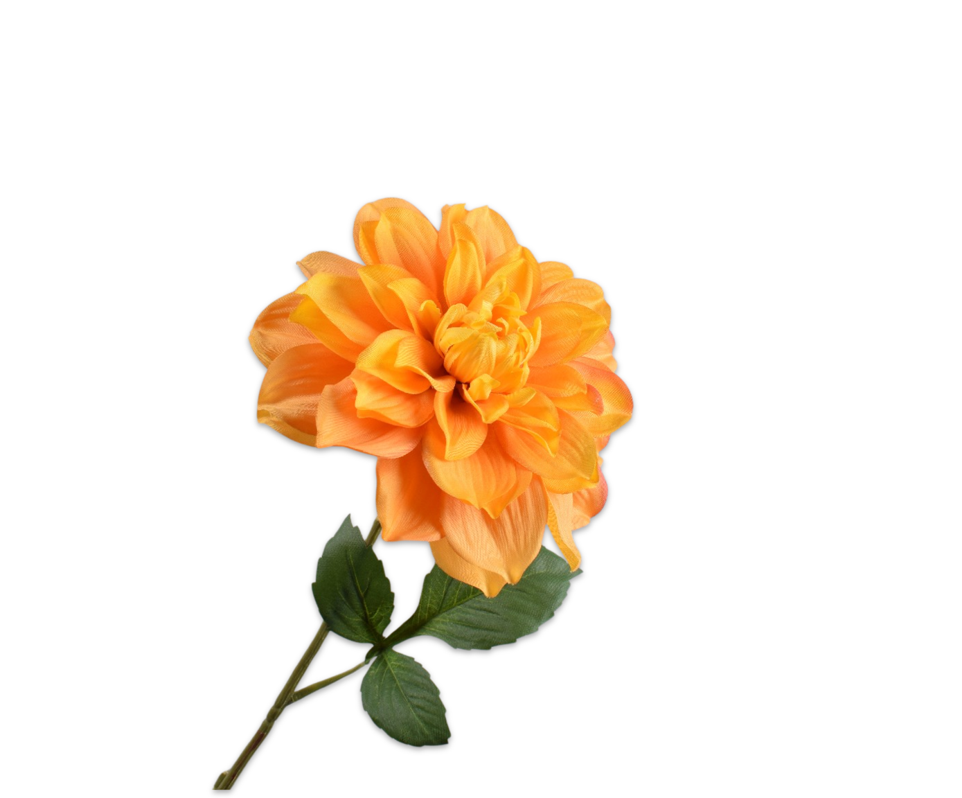 DAHLIA STEEL ORANJE  71 cm