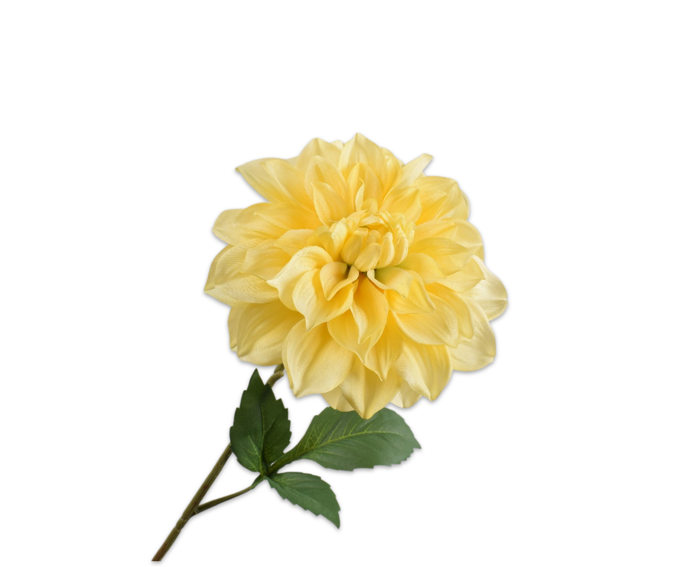 DAHLIA STEEL GEEL  71 cm