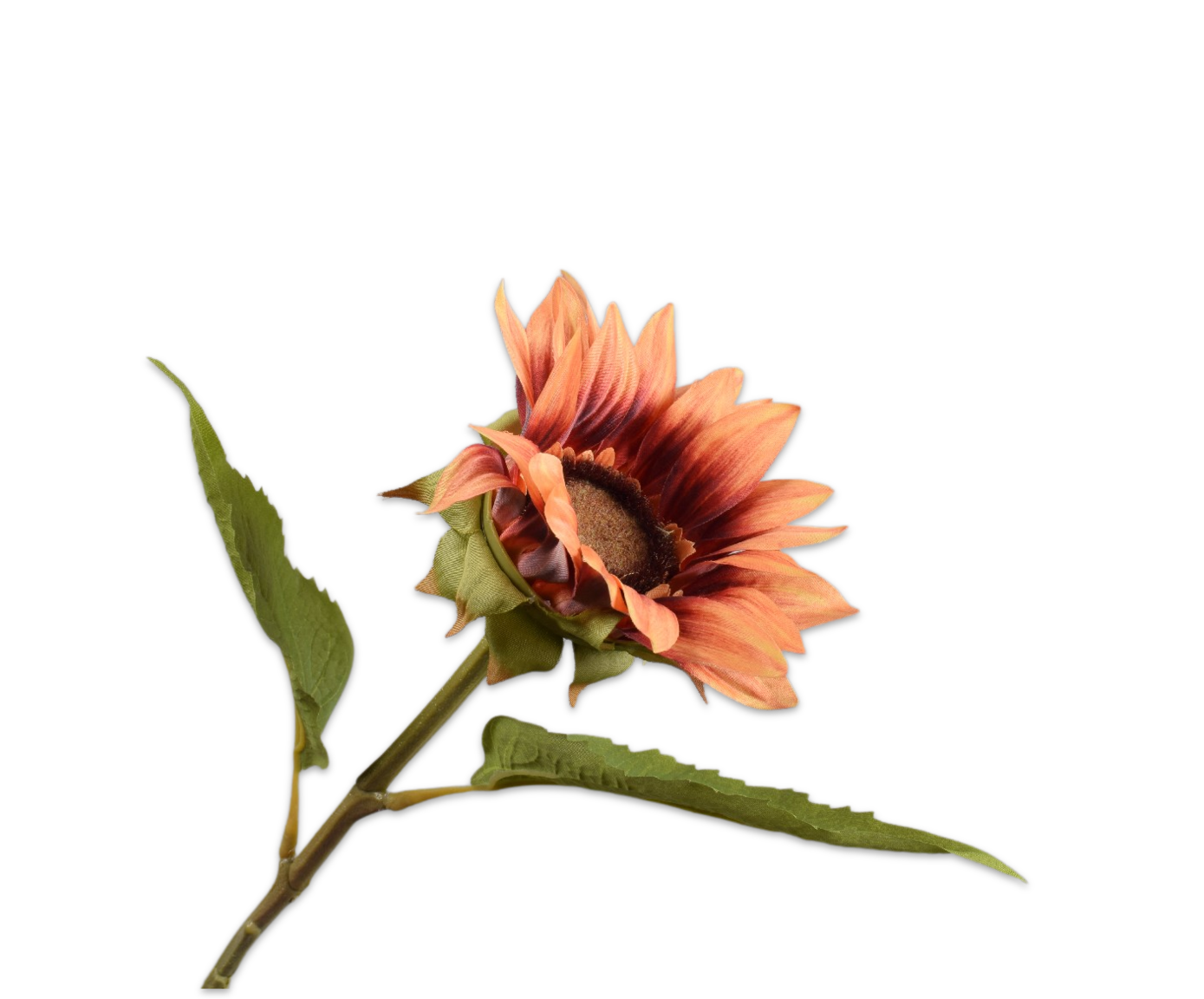 ZONNEBLOEM STEEL FLAME  46 cm