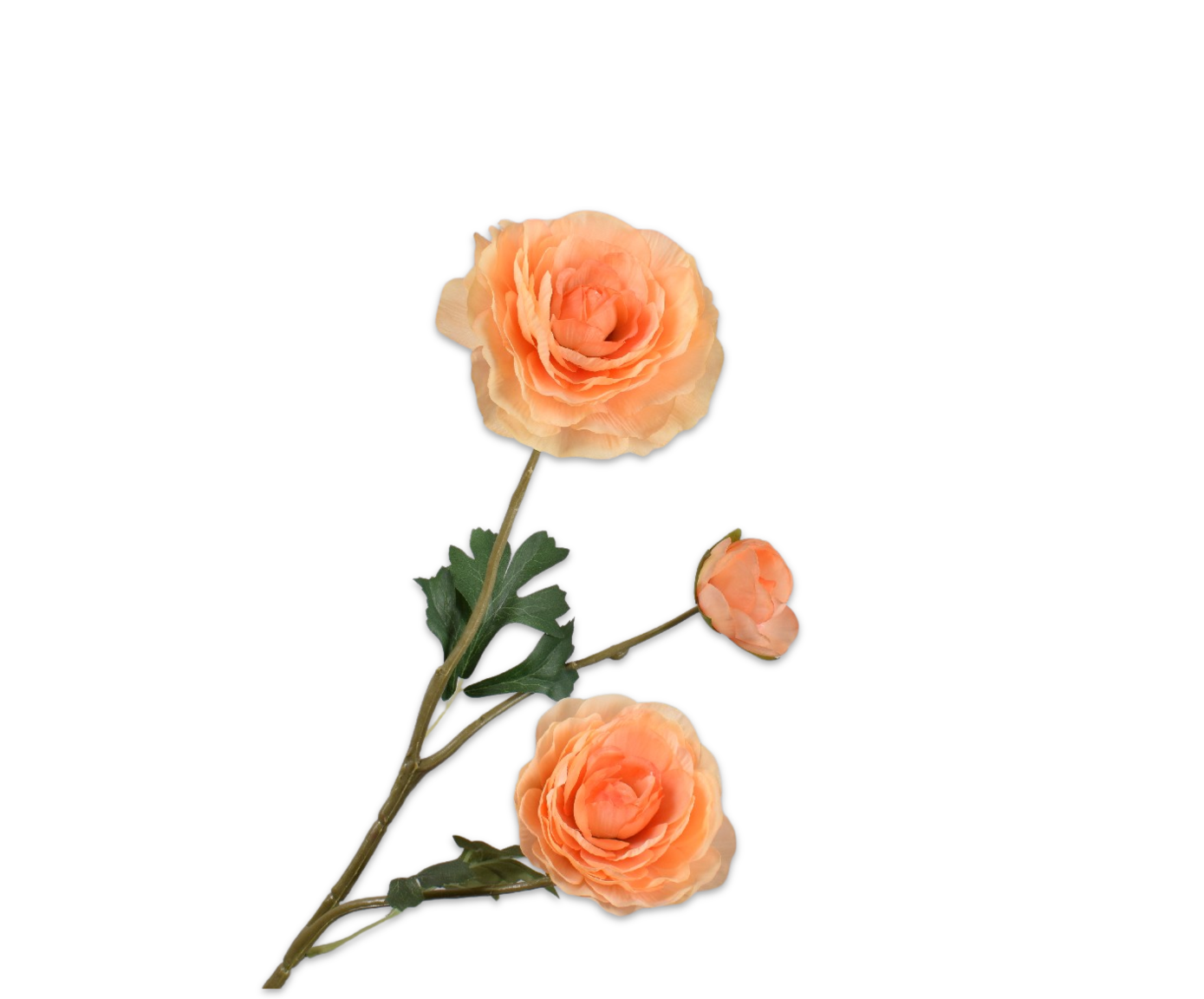 RANUNCOLO RAMO PESCA  46 CM