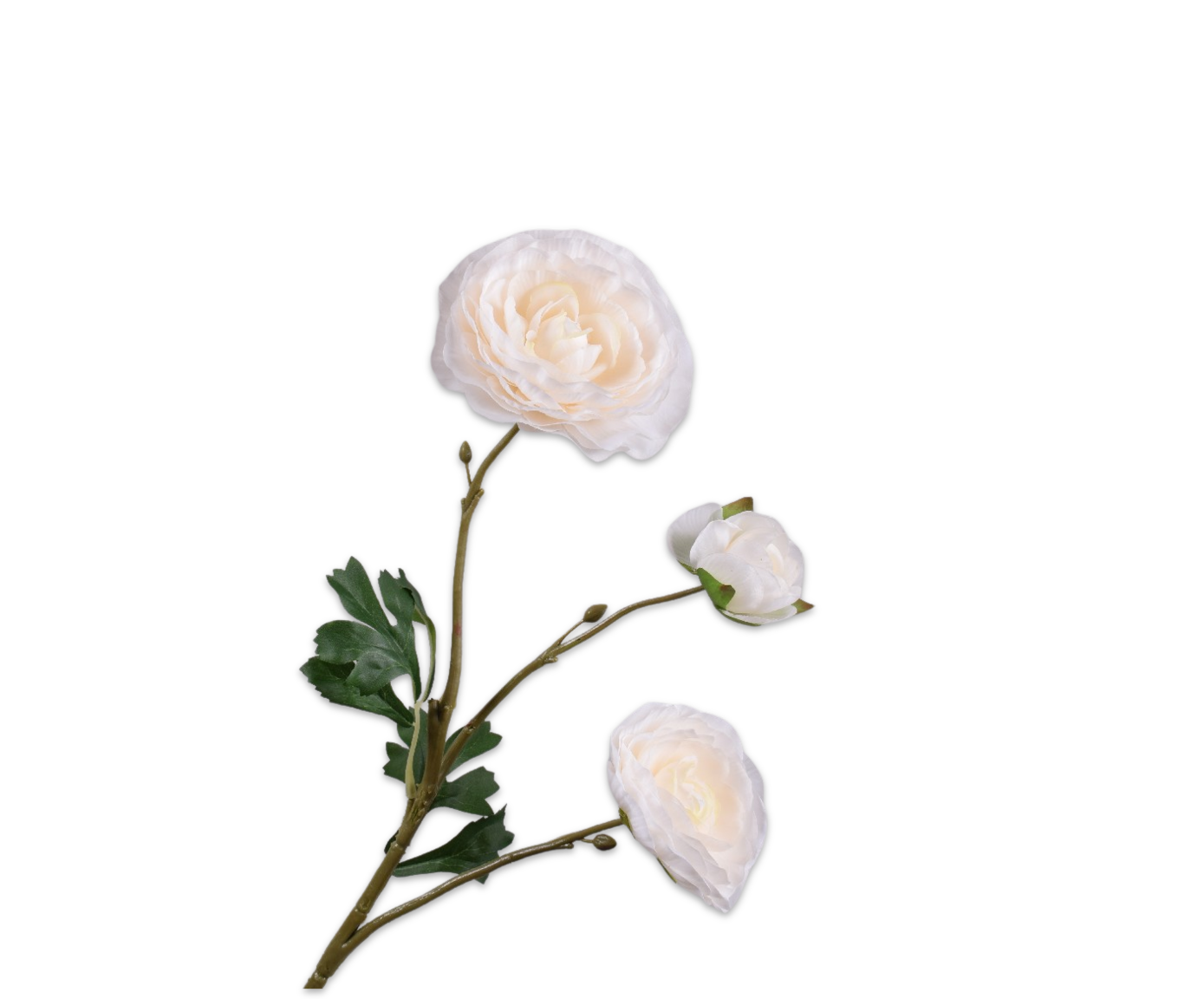 RANUNCOLO RAMO CREMA  46 CM