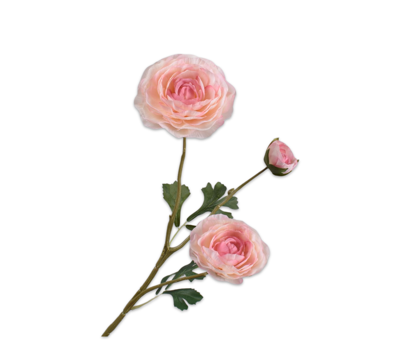 RANUNCOLO RAMO ROSA  46 CM