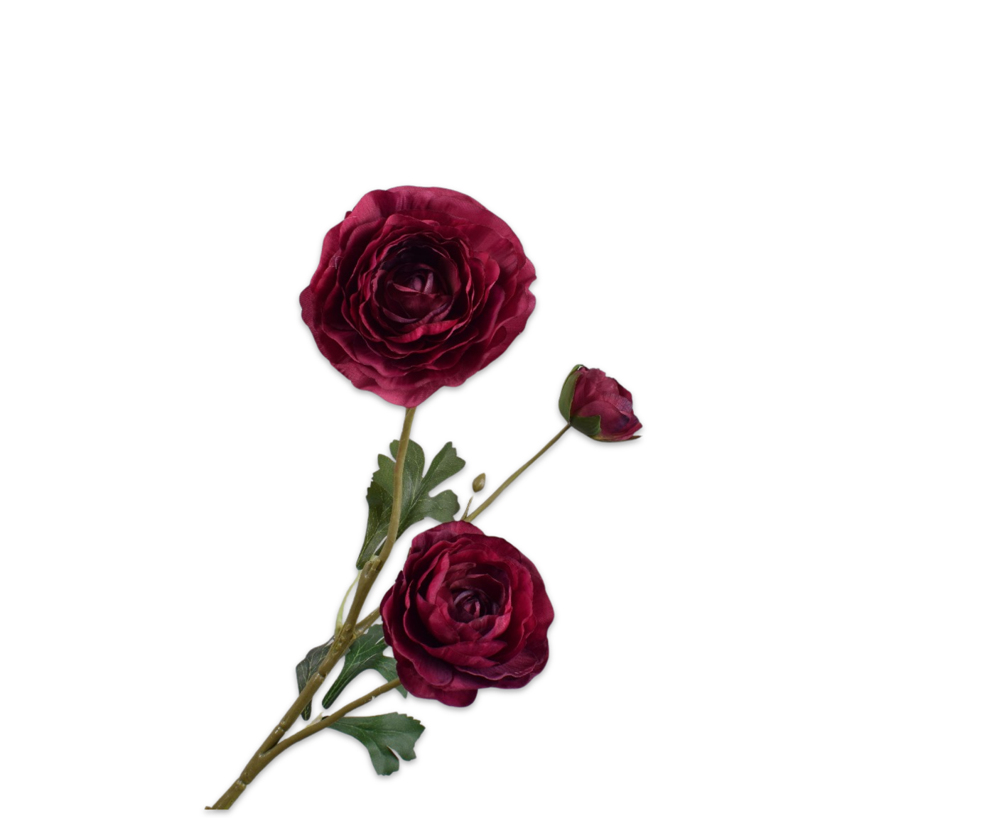 RANUNCOLO RAMO BORDEAUX  46 CM